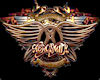 Aerosmith2 Framed