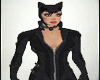 Catwoman Outfit v1