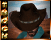 [T] Cowboy Hat Brown