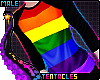 🌈 Gay Pride Shirt M