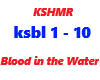 KSHMR / Blood in the