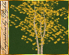 I~Birch Tree*Gold