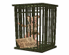 Time Out Cage