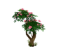 Tropic Flower 2