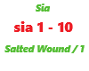 Sia / Salted Wound