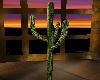 DCQ~ Saquaro Cactus