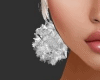 sw shiny diamond earring