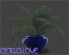 plants with blue pot