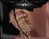 [T] Hoops & Studs V1