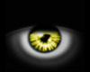 SL Yellow Eyes Unisex