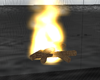 Wood Fire Particles