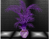 purple willow plant/pot