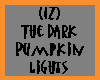 (IZ) Dark Pumpkin Lights