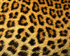 Leopard Table