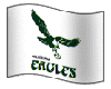 M Small Eagles Flag
