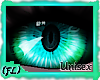 {FL}Flik EyesSM