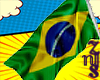 Flag Brazil