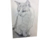 M, Art 58