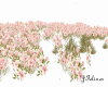 Danced  Flowers