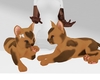 org kitten