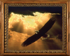 (MSis) Sunset Eagle