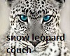 Snow Leopard Couch
