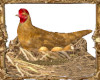 BSU Chicken Nesting