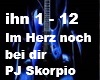 PJ Skorpio