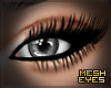 Slate | Mesh Eyes