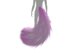Pink and White tail