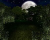 moon light garden