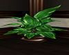 GL-Realistic Plant