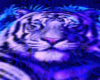 tiger illuminated rug