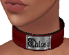 Chloe's Collar