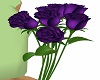 Purple Roses with Action