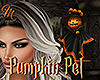 [M] Pumpkin Pet