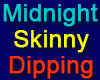 Midnight Dip Pool Room