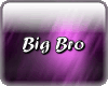 Big Bro Tag