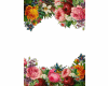 6v3| Floral Frame