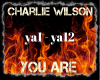 Charlie Wilson - You Are