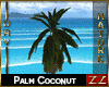 zZ Palm Coconut Anim