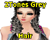 2Tones Grey Hair