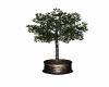 TreedecMasquradeballroom