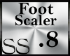 *SS Foot Scaler .8