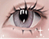 𝕄✓مTop+Bottom Lash