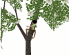 LL:Animated Climb Tree