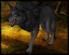 [G] Wolf Black Lupus