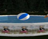 princess pool