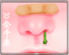 ♉ Nose-Band Mucus