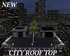 *  NY's * CITY ROOF TOP